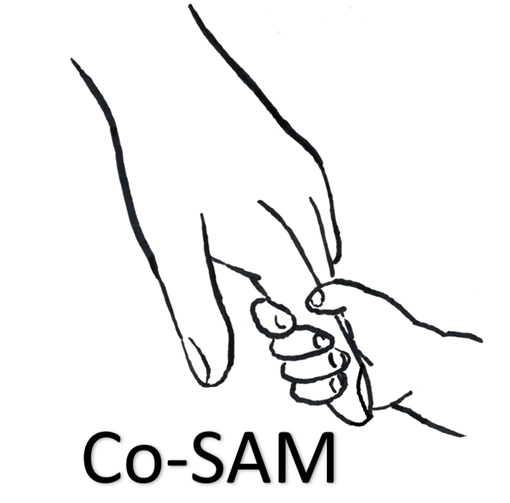 Co-SAM